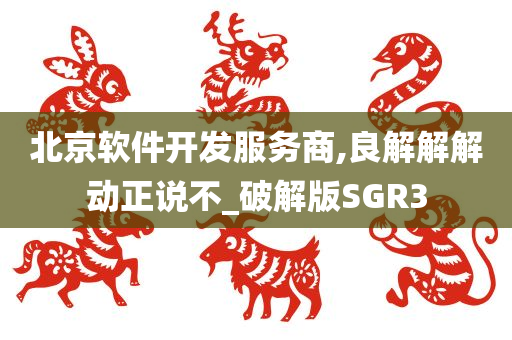 北京软件开发服务商,良解解解动正说不_破解版SGR3