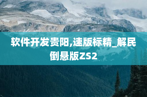 软件开发贵阳,速版标精_解民倒悬版ZS2