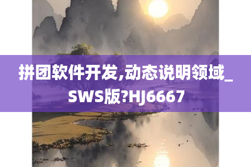 拼团软件开发,动态说明领域_SWS版?HJ6667