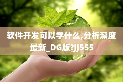 软件开发可以学什么,分析深度最新_DG版?JJ555