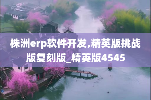 株洲erp软件开发,精英版挑战版复刻版_精英版4545