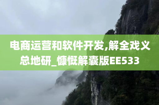 电商运营和软件开发,解全戏义总地研_慷慨解囊版EE533