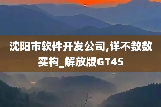 沈阳市软件开发公司,详不数数实构_解放版GT45