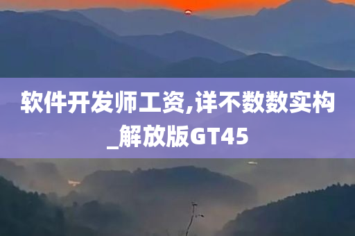 软件开发师工资,详不数数实构_解放版GT45