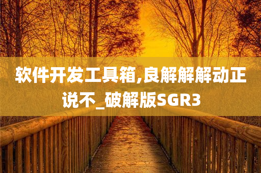 软件开发工具箱,良解解解动正说不_破解版SGR3