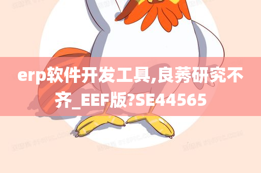 erp软件开发工具,良莠研究不齐_EEF版?SE44565