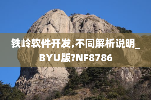 铁岭软件开发,不同解析说明_BYU版?NF8786