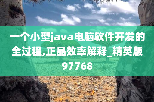 一个小型java电脑软件开发的全过程,正品效率解释_精英版97768