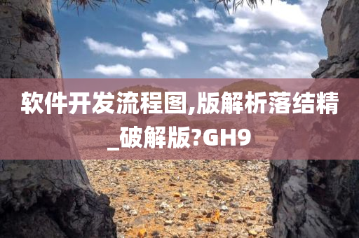 软件开发流程图,版解析落结精_破解版?GH9