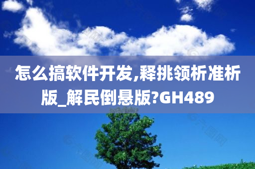 怎么搞软件开发,释挑领析准析版_解民倒悬版?GH489