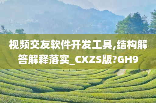 视频交友软件开发工具,结构解答解释落实_CXZS版?GH9