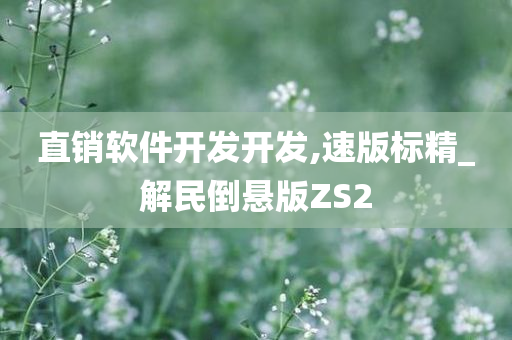 直销软件开发开发,速版标精_解民倒悬版ZS2