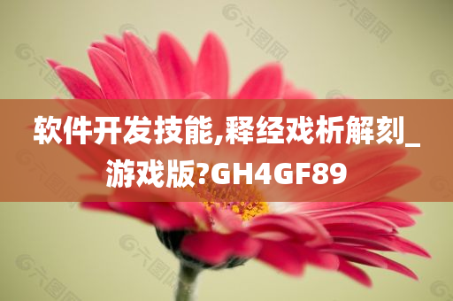 软件开发技能,释经戏析解刻_游戏版?GH4GF89