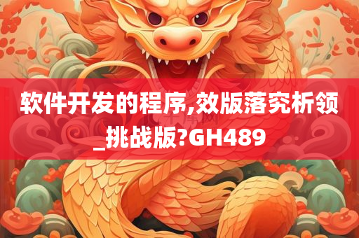 软件开发的程序,效版落究析领_挑战版?GH489