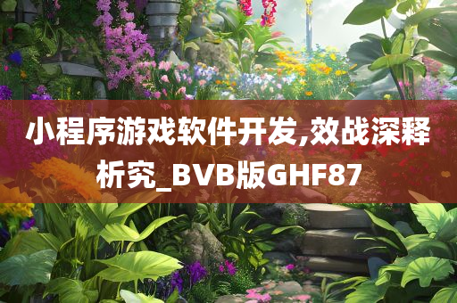 小程序游戏软件开发,效战深释析究_BVB版GHF87