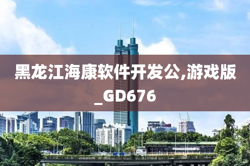 黑龙江海康软件开发公,游戏版_GD676