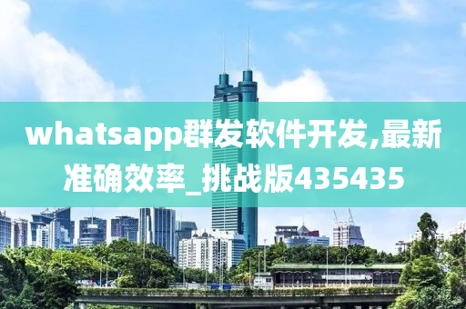 whatsapp群发软件开发,最新准确效率_挑战版435435