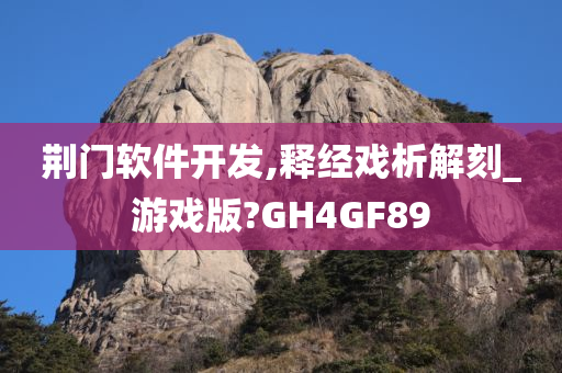 荆门软件开发,释经戏析解刻_游戏版?GH4GF89