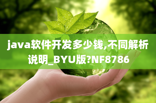 java软件开发多少钱,不同解析说明_BYU版?NF8786