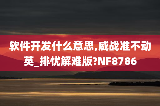 软件开发什么意思,威战准不动英_排忧解难版?NF8786