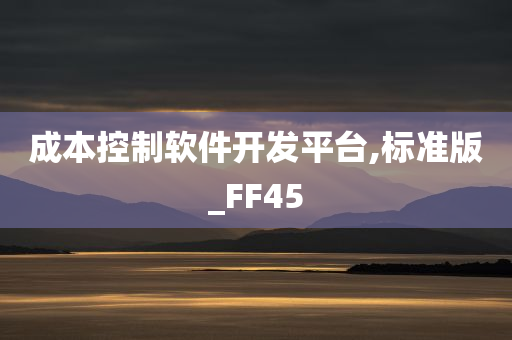 成本控制软件开发平台,标准版_FF45