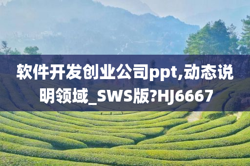 软件开发创业公司ppt,动态说明领域_SWS版?HJ6667