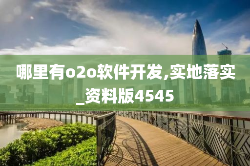 哪里有o2o软件开发,实地落实_资料版4545