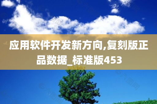 应用软件开发新方向,复刻版正品数据_标准版453