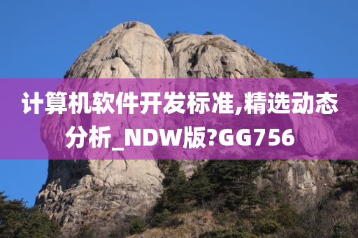 计算机软件开发标准,精选动态分析_NDW版?GG756