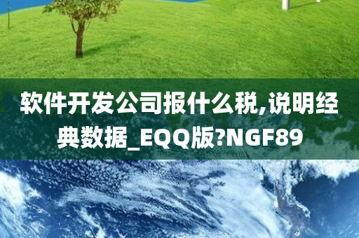 软件开发公司报什么税,说明经典数据_EQQ版?NGF89