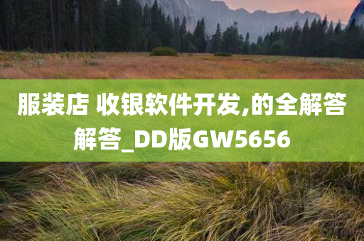 服装店 收银软件开发,的全解答解答_DD版GW5656