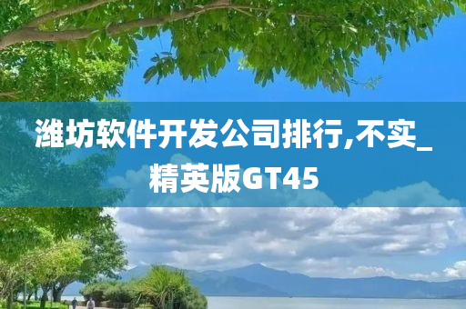 潍坊软件开发公司排行,不实_精英版GT45