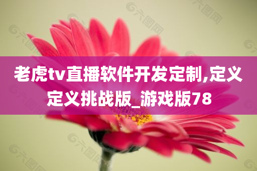 老虎tv直播软件开发定制,定义定义挑战版_游戏版78