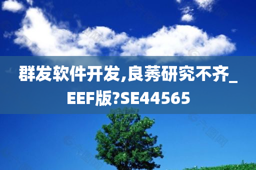 群发软件开发,良莠研究不齐_EEF版?SE44565