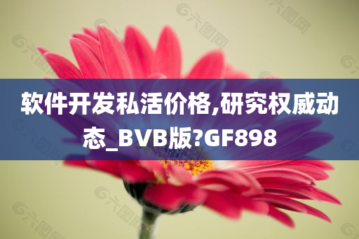 软件开发私活价格,研究权威动态_BVB版?GF898