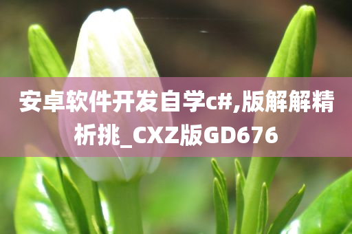 安卓软件开发自学c#,版解解精析挑_CXZ版GD676