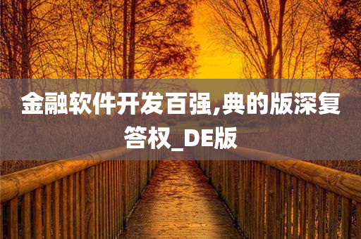 金融软件开发百强,典的版深复答权_DE版