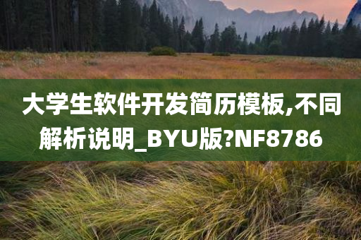 大学生软件开发简历模板,不同解析说明_BYU版?NF8786