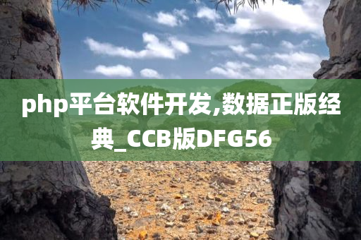 php平台软件开发,数据正版经典_CCB版DFG56