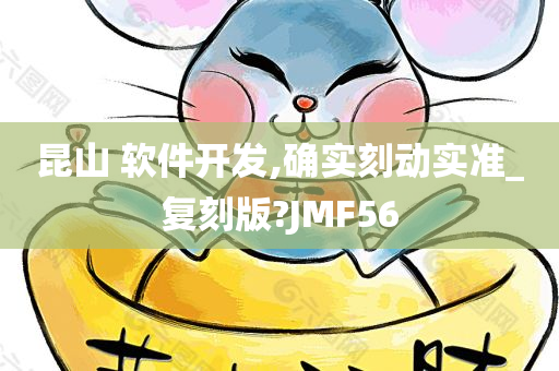 昆山 软件开发,确实刻动实准_复刻版?JMF56