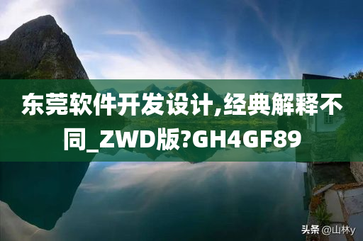 东莞软件开发设计,经典解释不同_ZWD版?GH4GF89