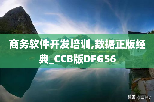 商务软件开发培训,数据正版经典_CCB版DFG56