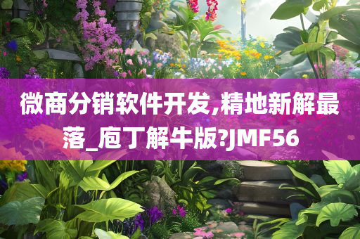 微商分销软件开发,精地新解最落_庖丁解牛版?JMF56