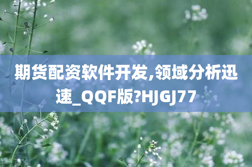 期货配资软件开发,领域分析迅速_QQF版?HJGJ77