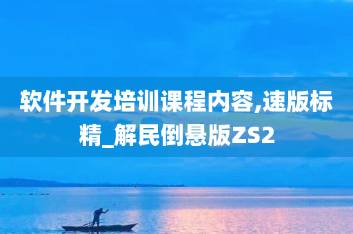 软件开发培训课程内容,速版标精_解民倒悬版ZS2