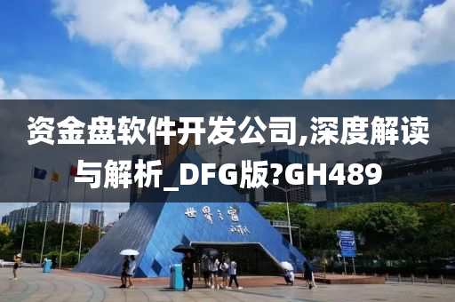 资金盘软件开发公司,深度解读与解析_DFG版?GH489