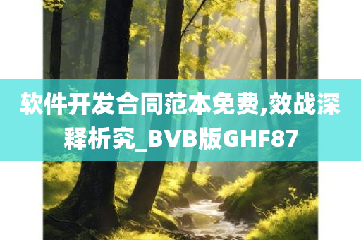 软件开发合同范本免费,效战深释析究_BVB版GHF87