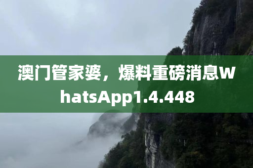 澳门管家婆，爆料重磅消息WhatsApp1.4.448