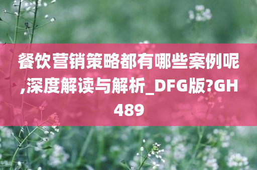 餐饮营销策略都有哪些案例呢,深度解读与解析_DFG版?GH489