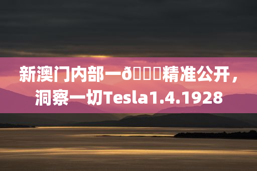 新澳门内部一🐎精准公开，洞察一切Tesla1.4.1928